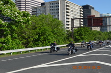 Enlarge photo 96