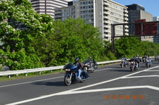 Enlarge photo 97