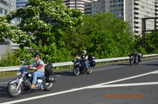 Enlarge photo 99