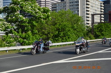 Enlarge photo 100