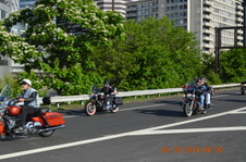 Enlarge photo 104