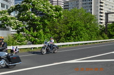 Enlarge photo 107