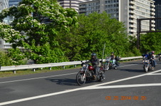 Enlarge photo 112