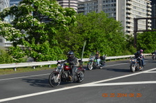 Enlarge photo 113