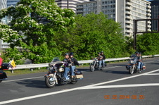 Enlarge photo 116