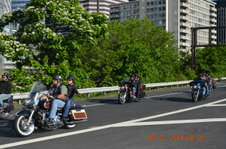 Enlarge photo 117