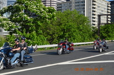 Enlarge photo 118