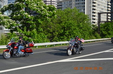 Enlarge photo 119