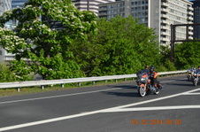 Enlarge photo 120