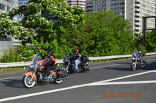 Enlarge photo 121