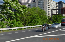 Enlarge photo 124
