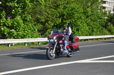 Enlarge photo 54