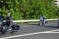Enlarge photo 70