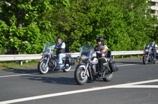Enlarge photo 71
