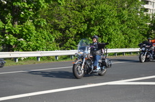Enlarge photo 73