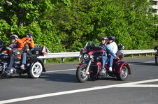 Enlarge photo 75