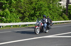 Enlarge photo 80