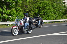 Enlarge photo 81