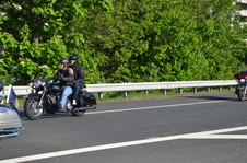 Enlarge photo 99