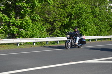 Enlarge photo 105
