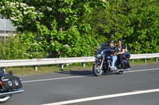 Enlarge photo 129