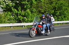 Enlarge photo 131