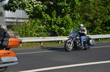 Enlarge photo 141