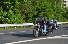 Enlarge photo 169