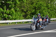 Enlarge photo 175