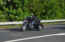 Enlarge photo 184