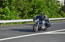 Enlarge photo 185