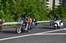 Enlarge photo 195