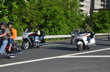 Enlarge photo 196