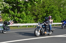 Enlarge photo 199