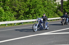 Enlarge photo 219