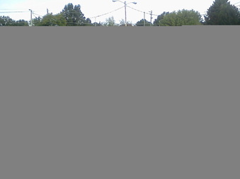 Enlarge photo 481