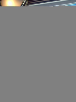 Enlarge photo 499