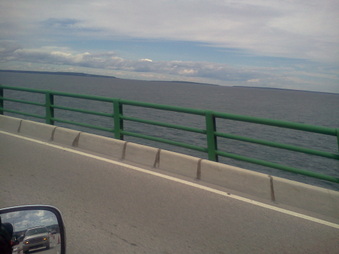 Enlarge photo 303