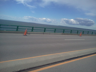 Enlarge photo 305
