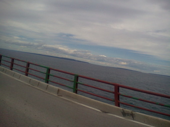 Enlarge photo 307