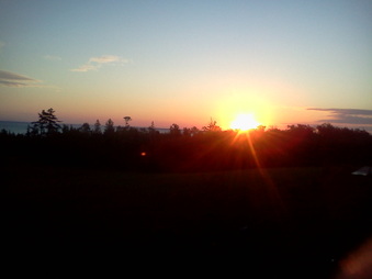 Enlarge photo 328