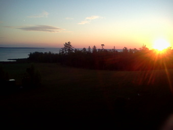 Enlarge photo 329