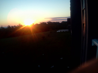 Enlarge photo 330