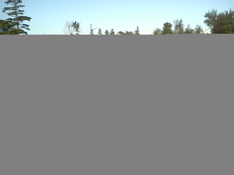 Enlarge photo 501