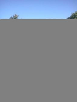 Enlarge photo 506