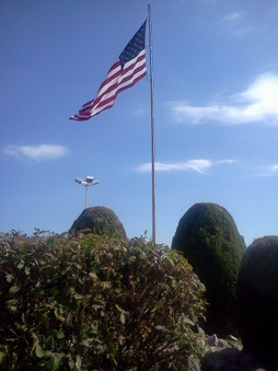 Enlarge photo 433