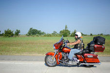Enlarge photo 82