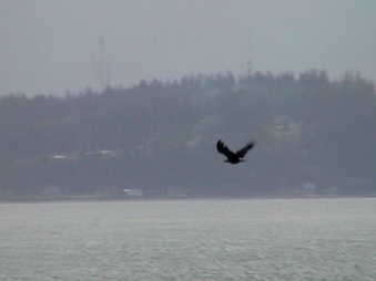Enlarge photo 224