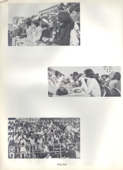 Enlarge photo 57
