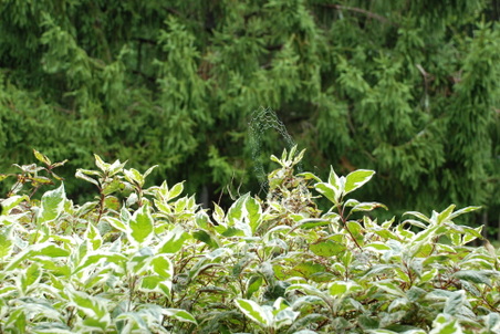Enlarge photo 2